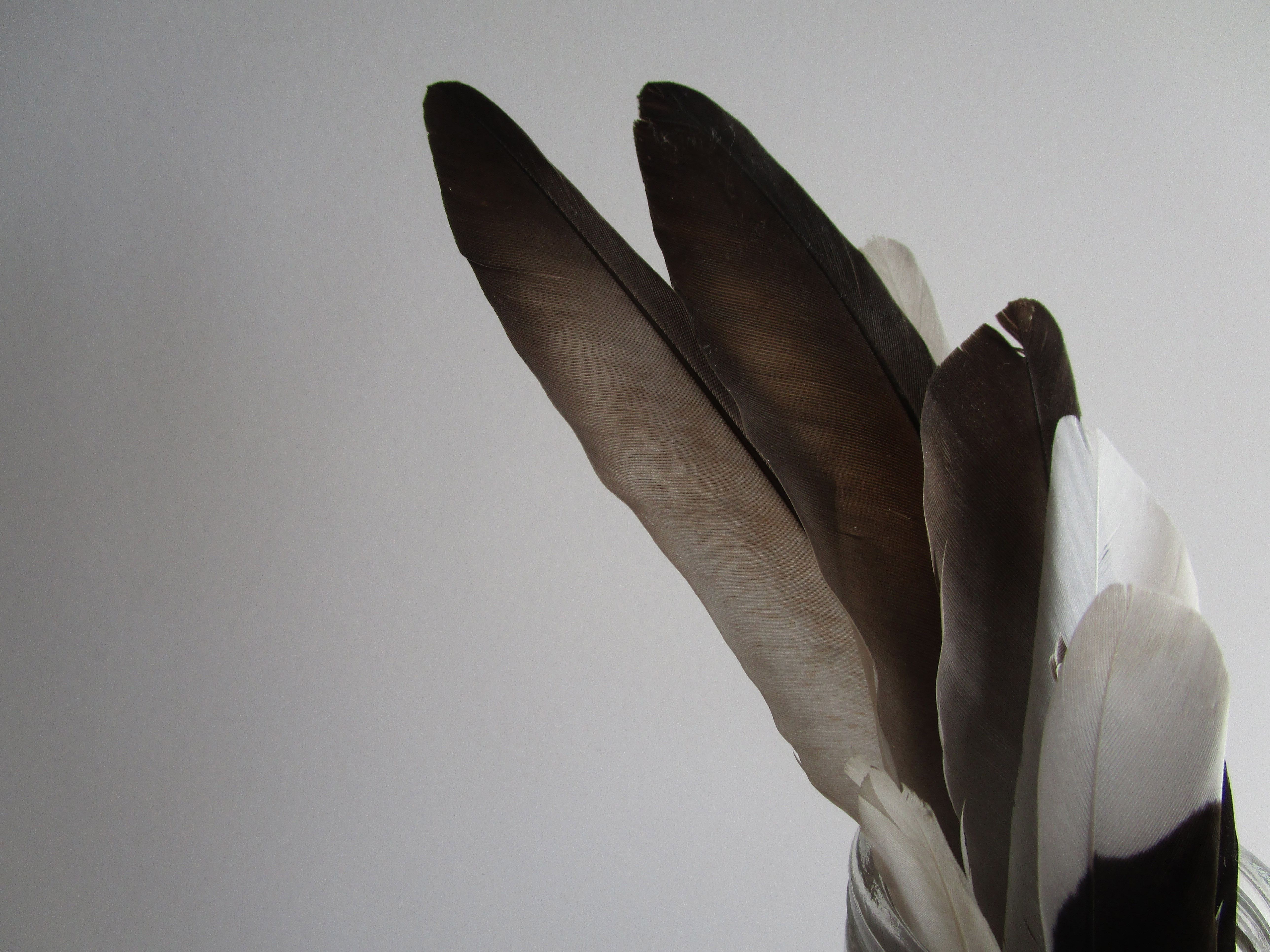 imagen 3 Correo Certificado