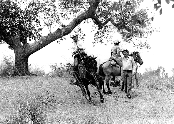 no hay tierra sin dueño 002