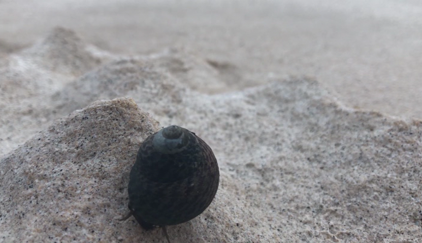 vlcsnap-2019-02-11-15h24m14s381